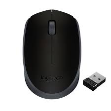 Souris sans fil LOGITECH M171 - NOIR