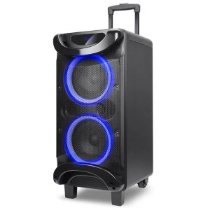 Haut Parleur SANS FIL RECHARGEABLE GOLD SOUND GS L0622