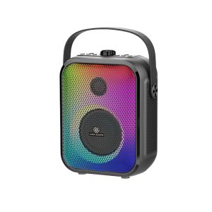 Haut Parleur SUBWOOFER GOLD SOUND GS EP30